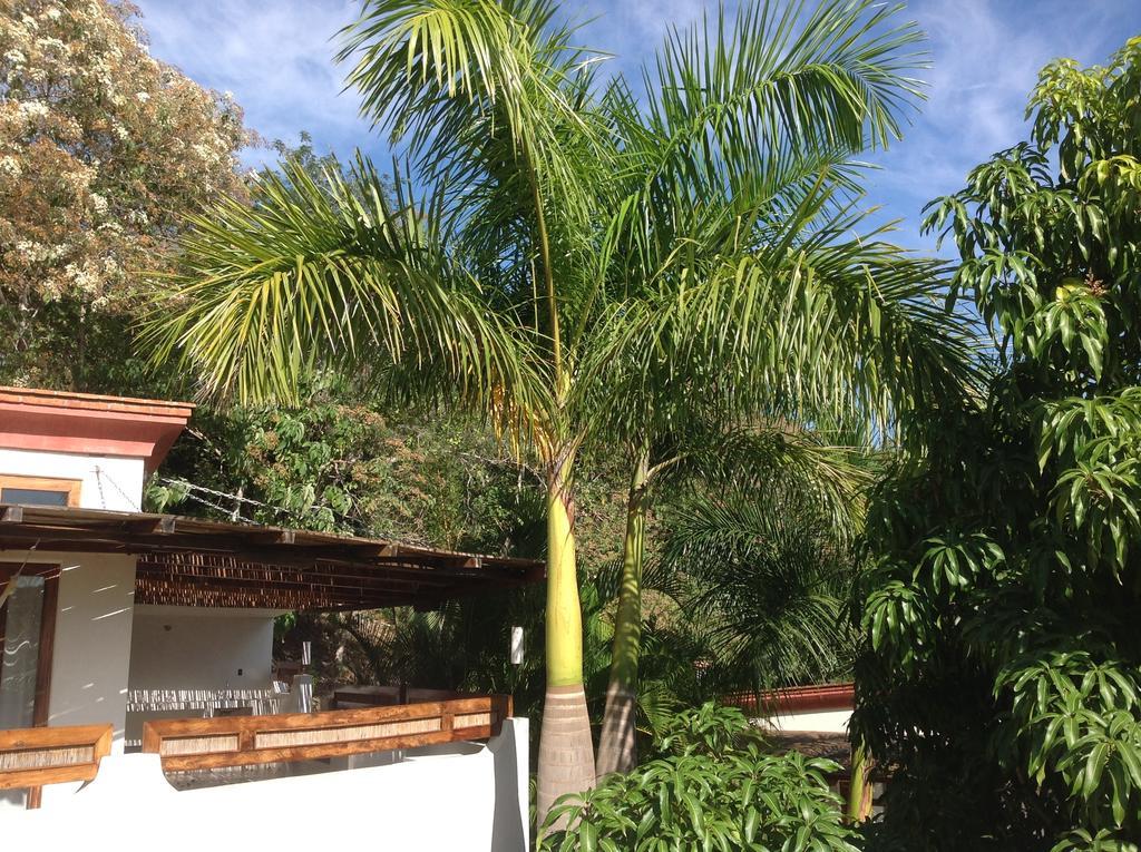 Hotel Casa Flor De Mar à Zipolite Extérieur photo